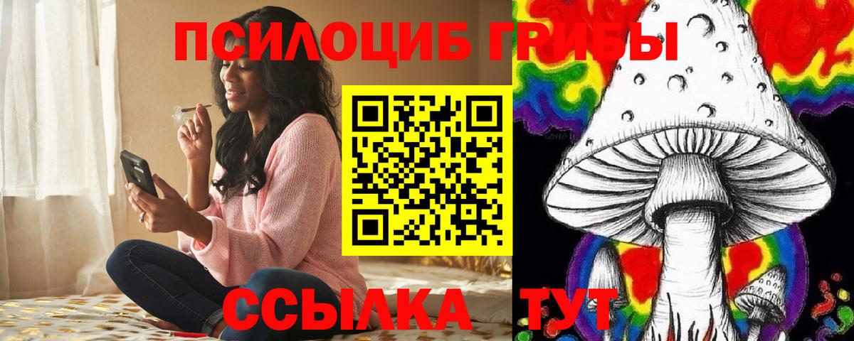 Псилоцибиновые грибы Psilocybe  Вход с VPN  где можно купить наркотик  Ливны 